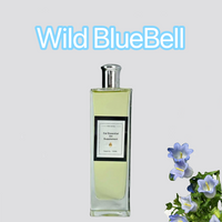 Load image into Gallery viewer, car air freshener refill (only refill)
